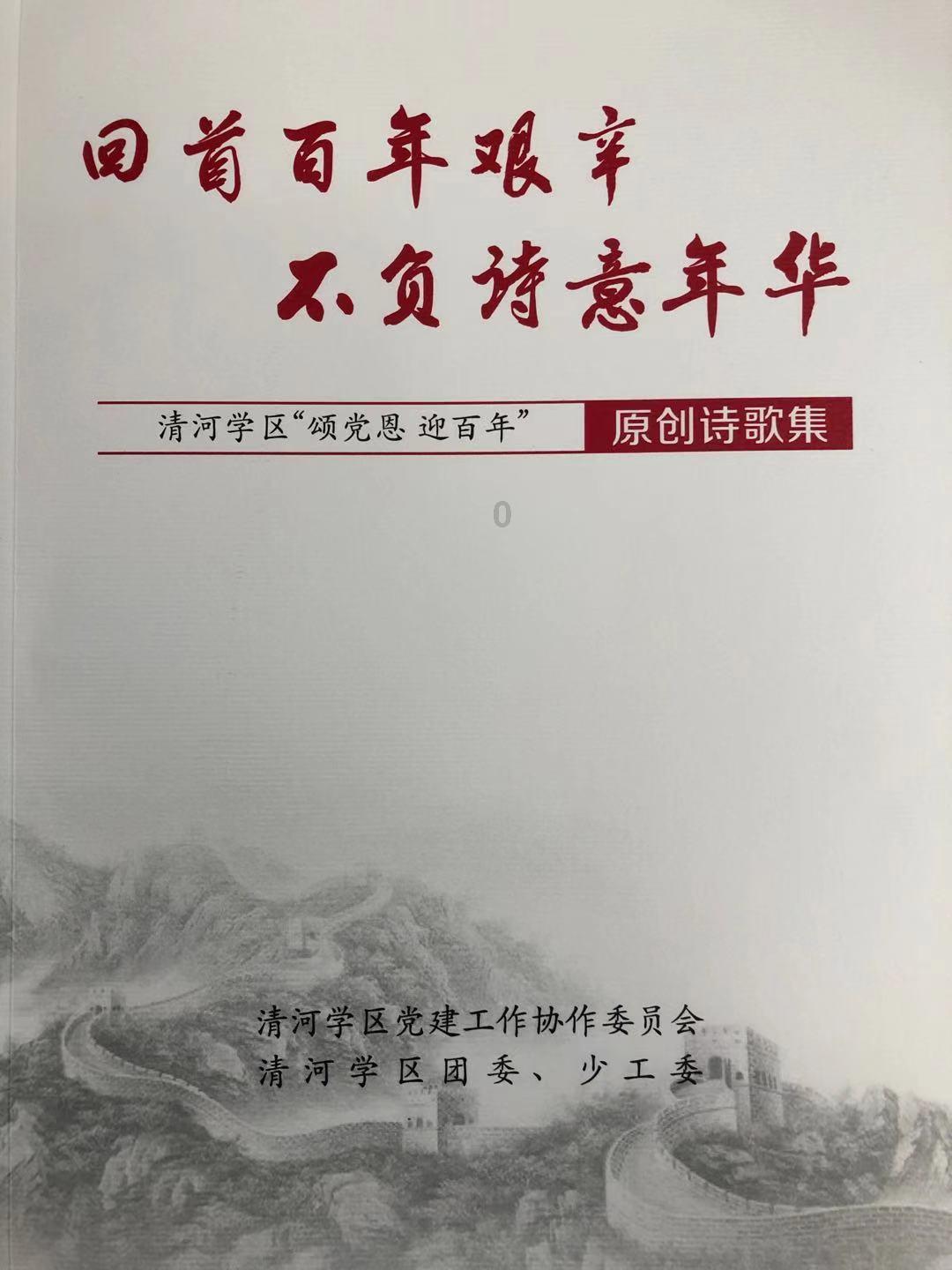街头打手2